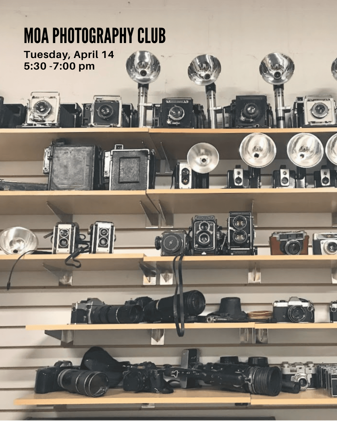 Photography Club Graphic Portrait